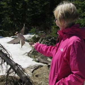 Meet your Posher, Carol